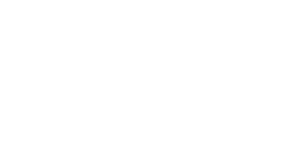 Wiedenbauer